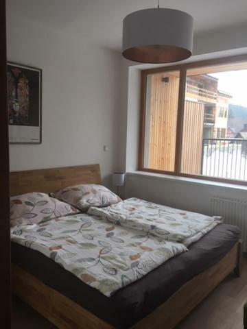 Apartman Cihadla Bedřichov Εξωτερικό φωτογραφία